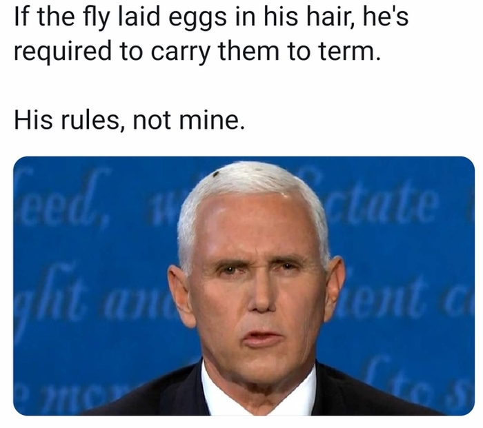 Pence: each fly egg must be carried to term (stonecold2050)