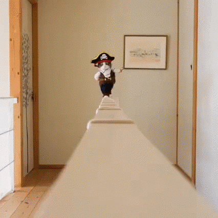 pirate cat walks the plank