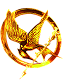 Hunger Games 2 - Catching Fire