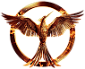 Hunger Games 3 - Mockingjay part 1