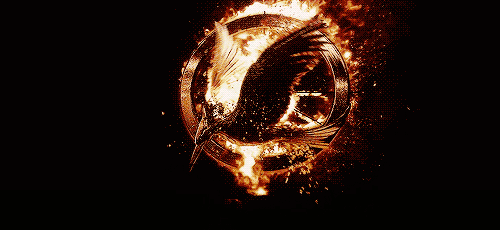 Hunger Games 3 - Mockingjay part 1 = 2 stars
