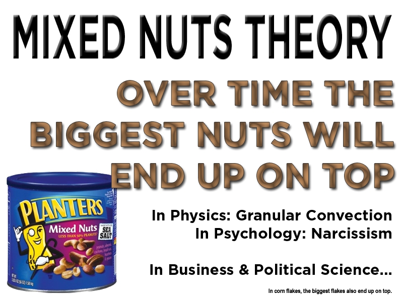 Science March protest sign number 20 - Mixed Nuts Theory