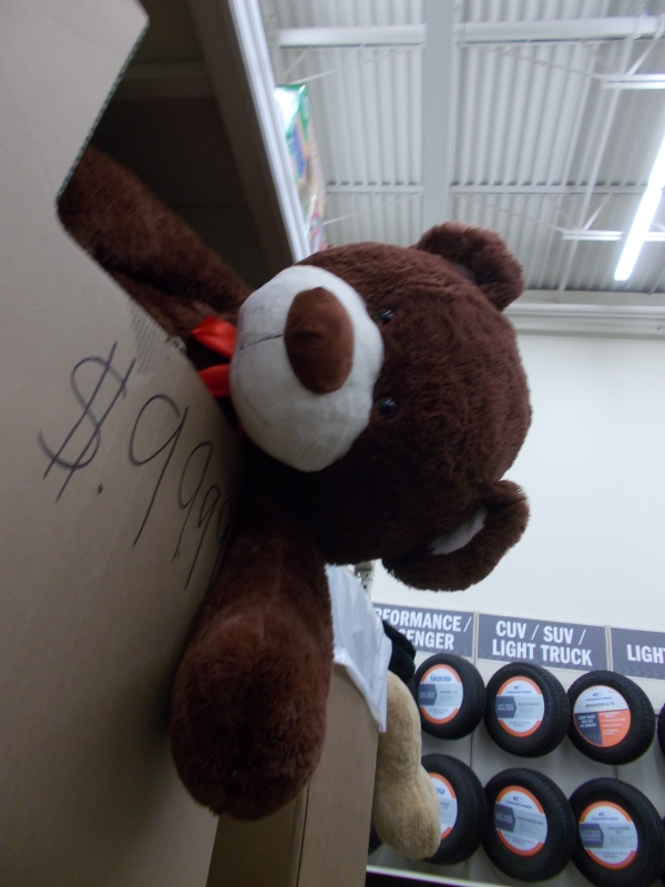 big teddy bear, irrationally priced