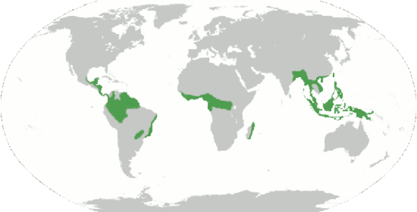 world map of tropical rainforests