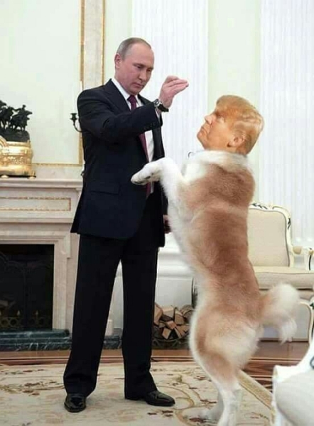 Putin's dog Trump