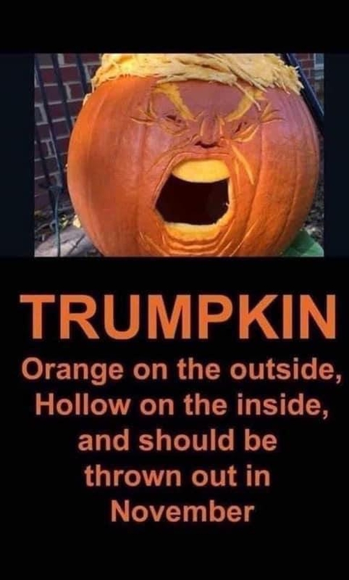 Trumpkin - orange on the outside, hollow on the inside, and should be thrown out in November