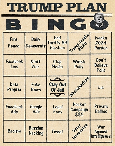 Trump Plan Bingo
