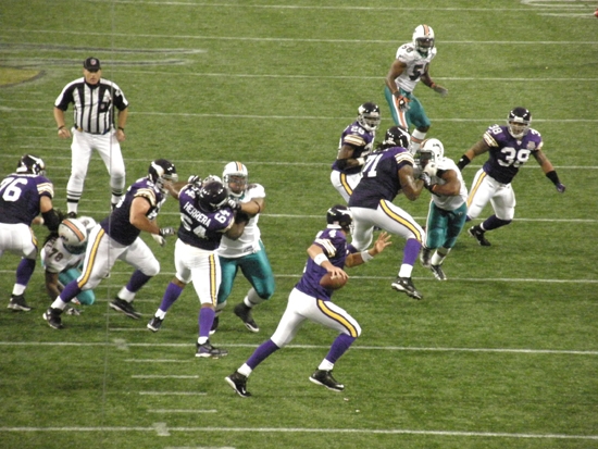 2010 Vikings against the Dolphins