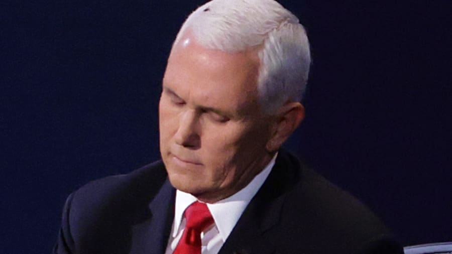 A fly landed on the lifeless head of Mike Pence during the Vice Presidential Debate, Oct 7, 2020