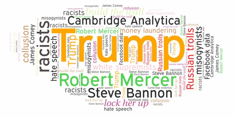 Cambridge Analytica ran the media and TV campaign for Donald Trump