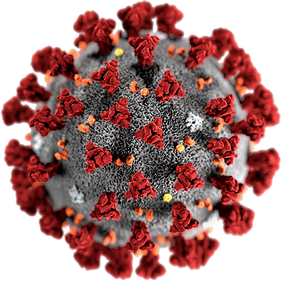Covid-19 disease or the 2019 novel coronavirus (2019-nCoV) outbreak of the SARS-CoV-2 virus