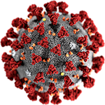 Covid-19 disease - the 2019 novel coronavirus (2019-nCoV) outbreak of the SARS-CoV-2 virus