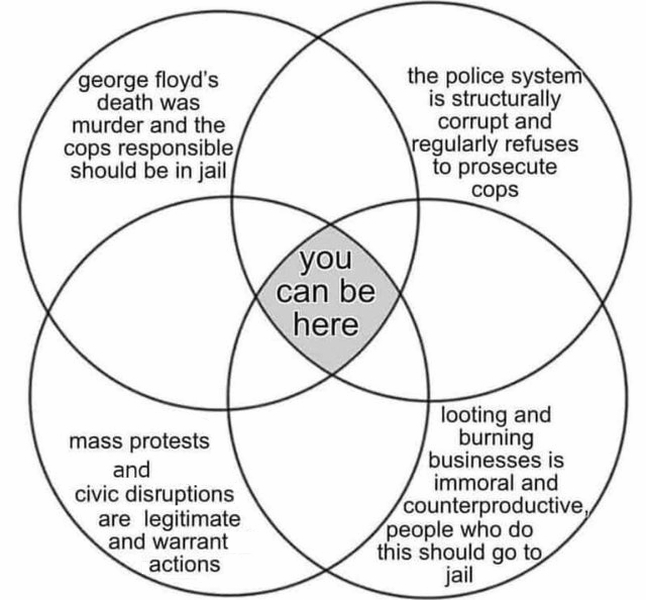 You Can Be Here venn diagram of George Floyd protest issues