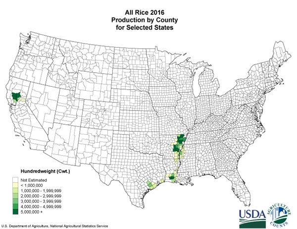 Rice production map of the United States in 2016