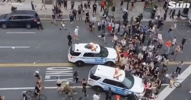 Police brutality: NYC police cars run over protesters, LA cops bat protesters, Buffalo police stampede old man.