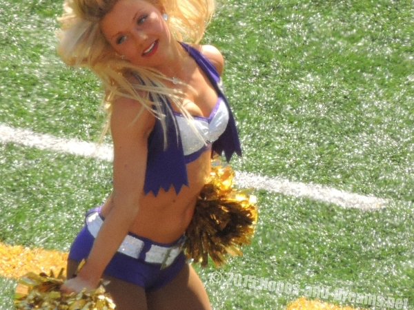 Minnesota Vikings Cheerleader